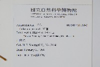 青葙藏品圖，第2張