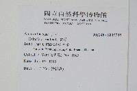 青葙藏品圖，第2張