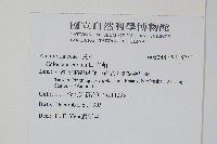 青葙藏品圖，第2張