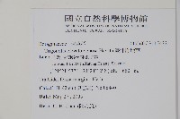 臺北附地草藏品圖，第2張