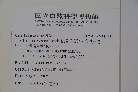 松田氏莢迷、宜昌莢迷藏品圖，第2張