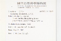 水芥菜、豆瓣菜、無心菜、水甕菜藏品圖，第2張