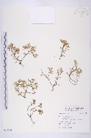 登錄號:S115448藏品圖，第1張