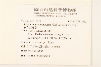 田代氏澤蘭藏品圖，第2張