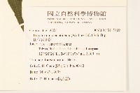 田代氏澤蘭藏品圖，第2張