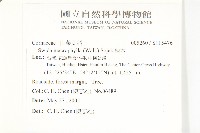 梜木藏品圖，第2張