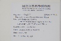 水鴨腳藏品圖，第2張