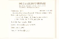 刀傷草藏品圖，第2張