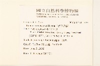 田代氏澤蘭藏品圖，第2張