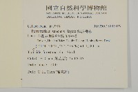 佩羅特木藏品圖，第2張