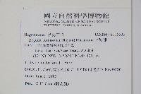 水鴨腳藏品圖，第2張