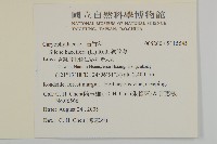 狗筋蔓藏品圖，第2張