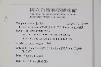 山桔梗藏品圖，第2張