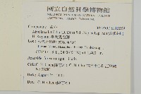 臺灣鬼督郵藏品圖，第2張