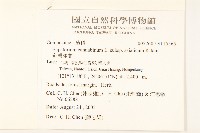 台灣澤蘭藏品圖，第2張