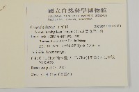 亞毛無心菜藏品圖，第2張