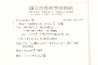 玉山黃菀藏品圖，第2張