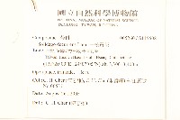 一枝黃花藏品圖，第2張