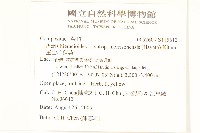 玉山毛蓮菜藏品圖，第2張