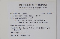 玉山小蘗藏品圖，第2張