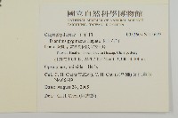 玉山石竹藏品圖，第2張