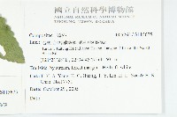 下田菊藏品圖，第2張