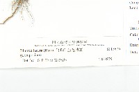 生毛將軍藏品圖，第3張