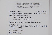 匍匐半插花藏品圖，第2張