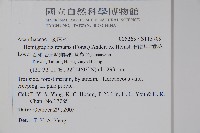 匍匐半插花藏品圖，第5張