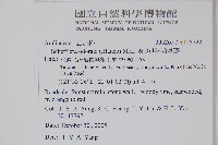 鵝掌藤藏品圖，第2張