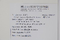 中國勿忘草藏品圖，第2張