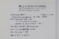 爵床、六角英藏品圖，第2張