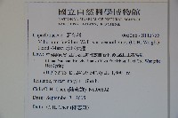 珍珠莢迷藏品圖，第2張