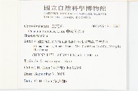 中國菟絲子藏品圖，第2張