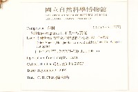 毛果一枝黃花藏品圖，第2張