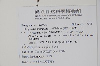 狹葉附地菜藏品圖，第2張