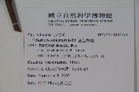 密生莢迷藏品圖，第2張