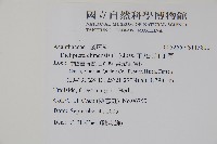 華九頭獅子草藏品圖，第2張