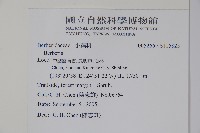 粉葉小檗藏品圖，第2張