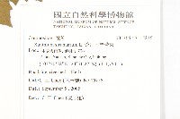 蒼耳、羊帶來藏品圖，第2張