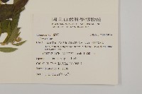 登錄號:S115874藏品圖，第2張