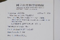 小萼瓜馥木藏品圖，第2張