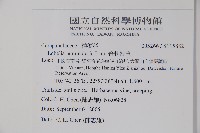 普刺特草藏品圖，第2張