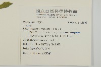 登錄號:S115903藏品圖，第2張