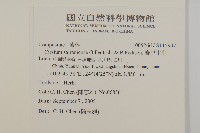 賽里木薊藏品圖，第2張