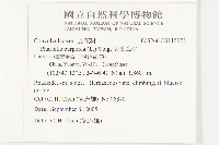 圓葉牽牛藏品圖，第2張