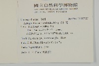 千針莧藏品圖，第2張