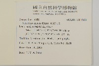 臺灣馬蘭藏品圖，第2張