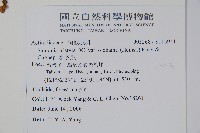 水冬瓜藏品圖，第2張