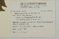 雷公藤藏品圖，第2張